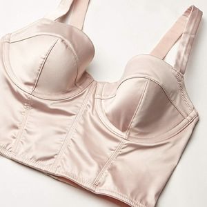 NWT Blush Pink Bustier Bra